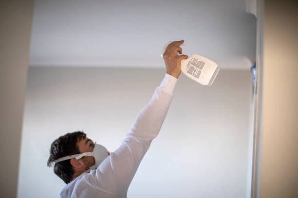 San Luis Obispo, CA Mold Removal Company