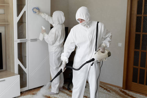 Best Mold Cleaning Services  in San Luis Obispo, CA