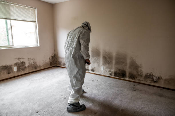 Crawl Space Mold Removal in San Luis Obispo, CA