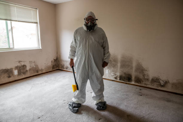 Best Mold Remediation  in San Luis Obispo, CA