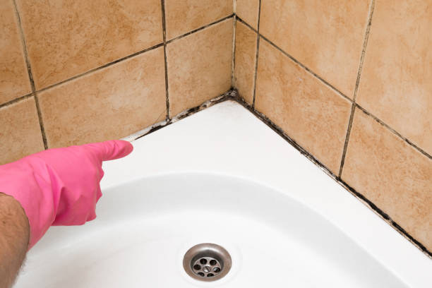 Best Emergency Mold Removal  in San Luis Obispo, CA